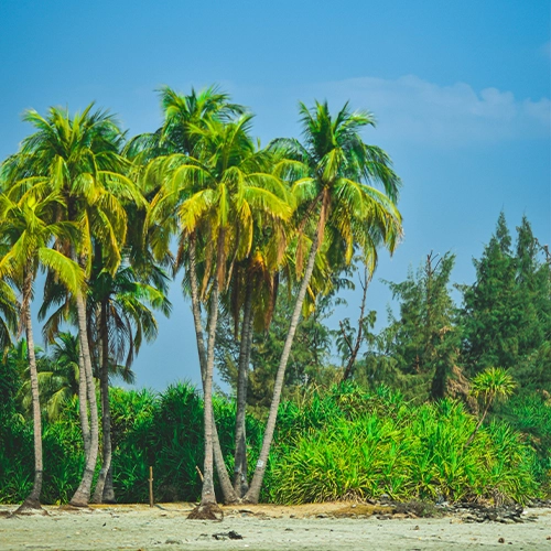 Saint martin dip Bangladesh